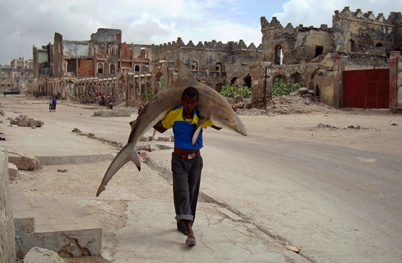 http://www.holeinthedyke.com/images/hitd-news/reuters2.jpg